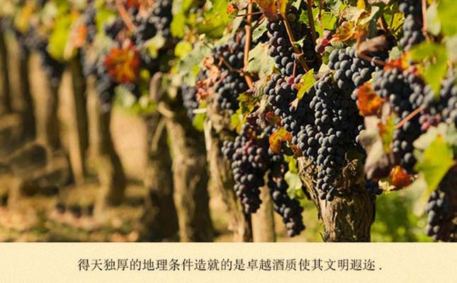 重慶紅酒批發市場