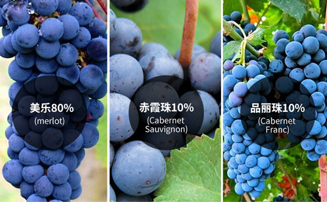 重慶紅酒批發哪里正宗