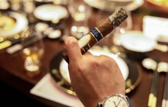 綿陽雪茄專賣店實(shí)體店 四川綿陽哪里有賣雪茄的