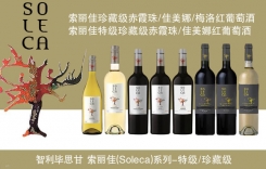 索麗佳特級(jí)珍藏赤霞珠佳美娜紅葡萄酒 智利畢思甘酒莊