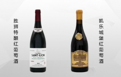 勝獅特釀紅葡萄酒 勝獅名門紅葡萄酒 法國勃墾地產區
