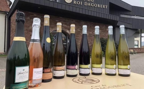 重慶紅酒批發(fā)哪里正宗?渝北空港進(jìn)口紅酒批發(fā)市場