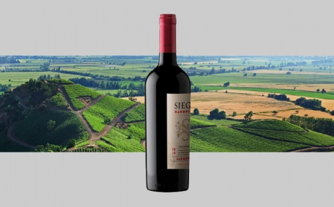 寧夏產(chǎn)區(qū)的紅酒在重慶受到歡迎 重慶推紅寺堡紅酒